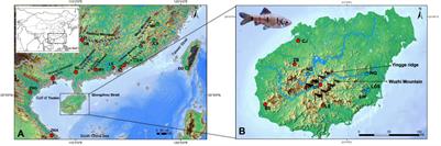 Phylogeography and demographic history of the cyprinid fish Barbodes semifasciolatus: implications for the history of landform changes in south mainland China, Hainan and Taiwan